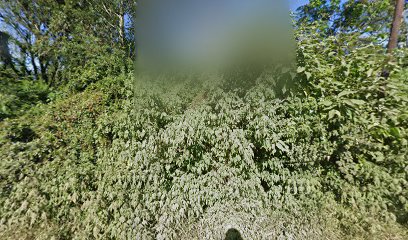 panoidS4jEikS78kjTBBc21Powjgcb clientsearch.gws prod.gpsw408h240yaw118.94422pitch0thumbfov100dummy
